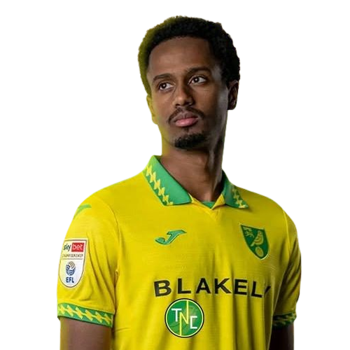 Ali Ahmed