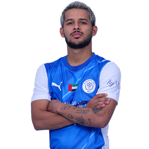 Mehdi Ghayedi
