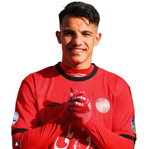 Amirhossein Hosseinzadeh
