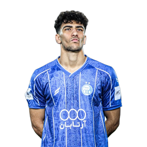 Amirmohammad Razzaghinia